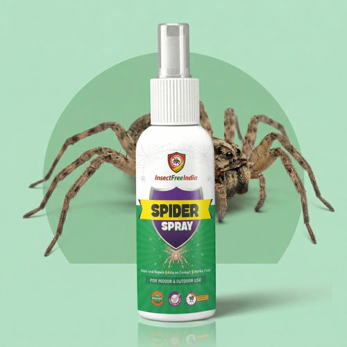 Spider Repellent Spray for Home & Office | Herbal Natural Formula | Indoor & Outdoor Use | Insect Free India