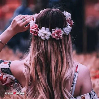 cutie_nora